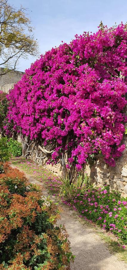 Cosy Tavira Holidays ภายนอก รูปภาพ